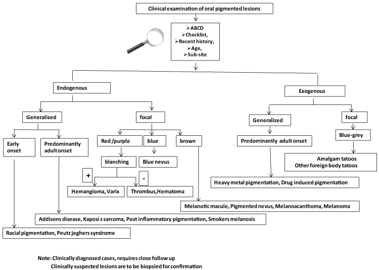 Oral Allergy Syndrome Chart | Healthy HesongBai anaphylaxis symptom diagram 