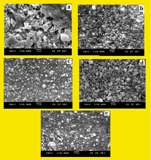micrograph