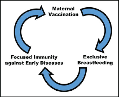 vaccination