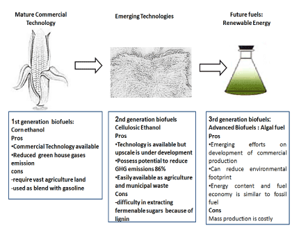 Biofuels