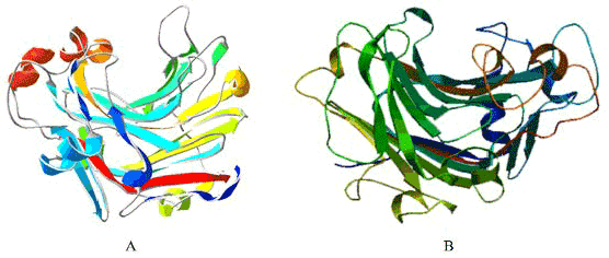 Homology