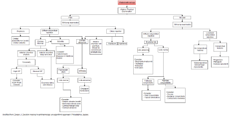 Eye Flow Chart