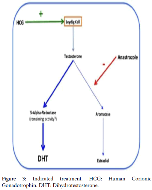 Andrology Human Corionic Dihydrotestosterone Andrology Human Corionic Dihydrotestosterone