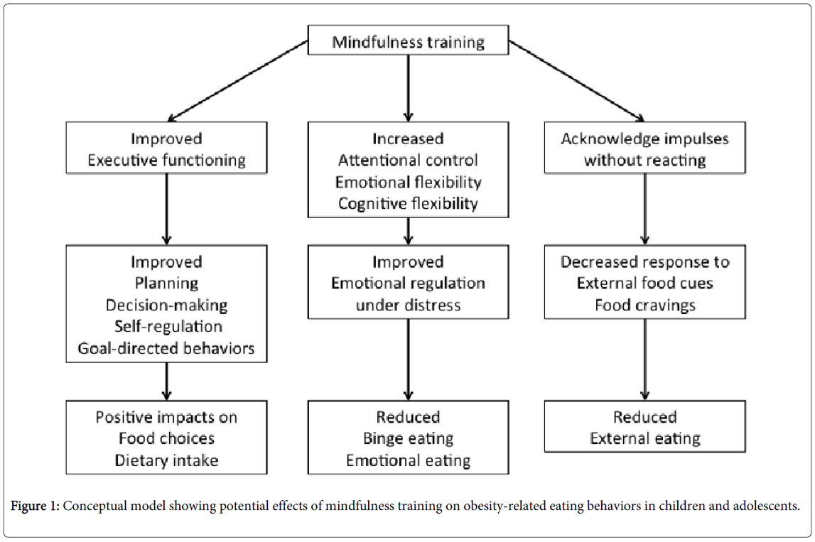 Child-adolescent-behaviour-conceptual-model