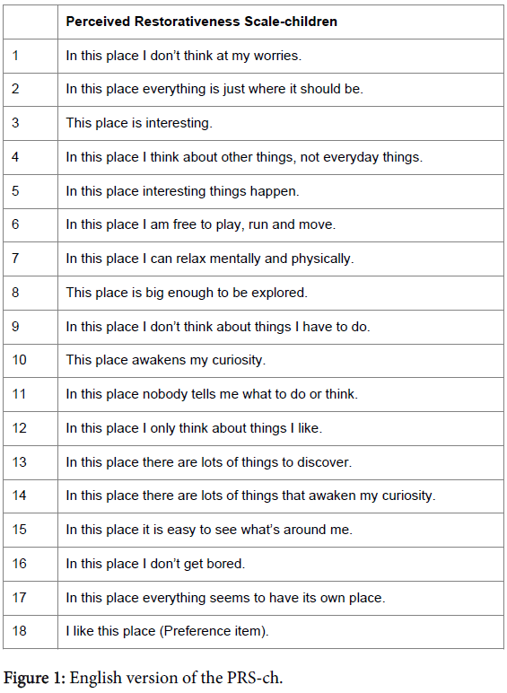 Child-adolescent-behaviour-english-version-prs-ch