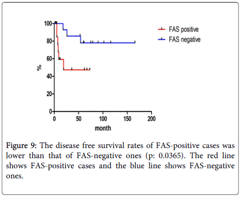 Digestive-System-FAS-positive