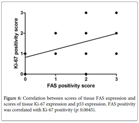 Digestive-System-FAS-positivity