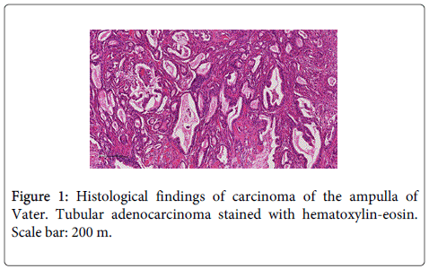 Digestive-System-Histological-findings