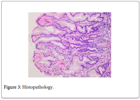 Digestive-System-Histopathology