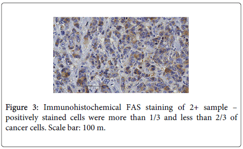 Digestive-System-positively-stained