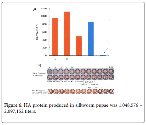 Digestive-System-protein-produced