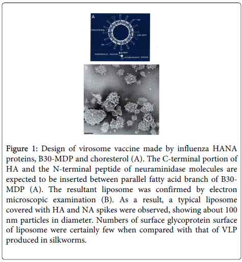 Digestive-System-virosome-vaccine
