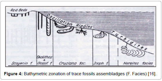 Ecosystem-Ecography-Bathymetric-zonation