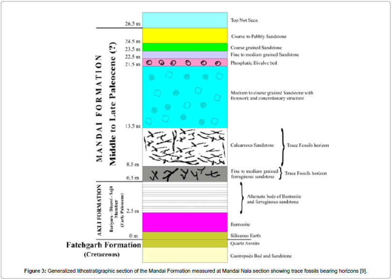 Ecosystem-Ecography-Generalized-lithostratigraphic