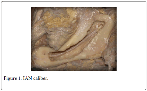 Interdisciplinary-Medicine-Dental-IAN-caliber