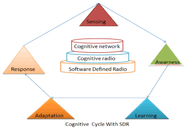 Cognitive