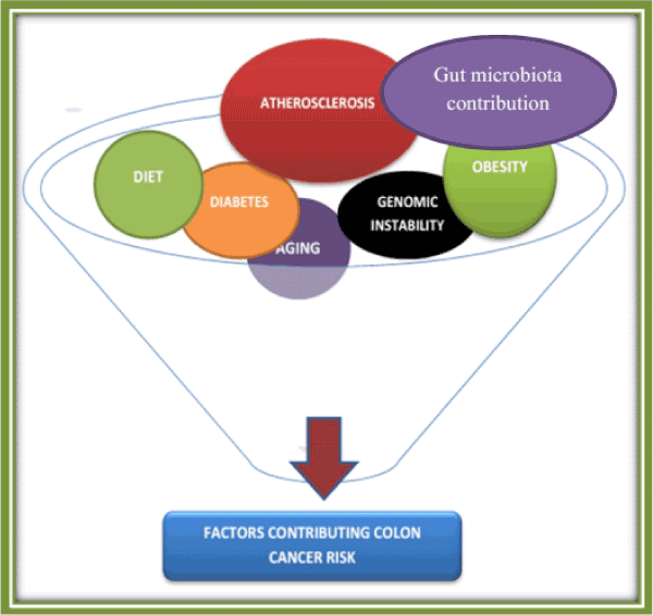 Factors