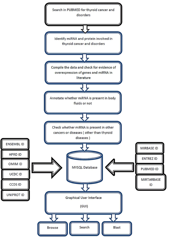 Methodology
