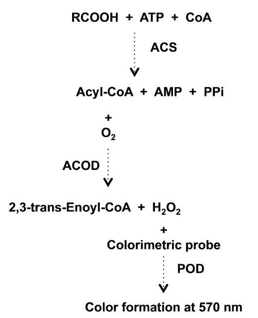 mechanism