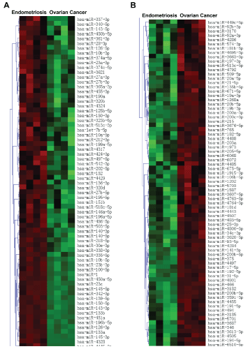 Heatmap