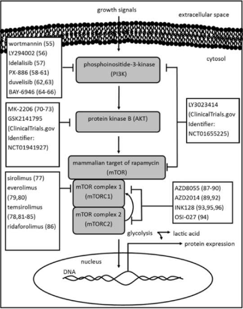 kinase