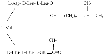 Structure