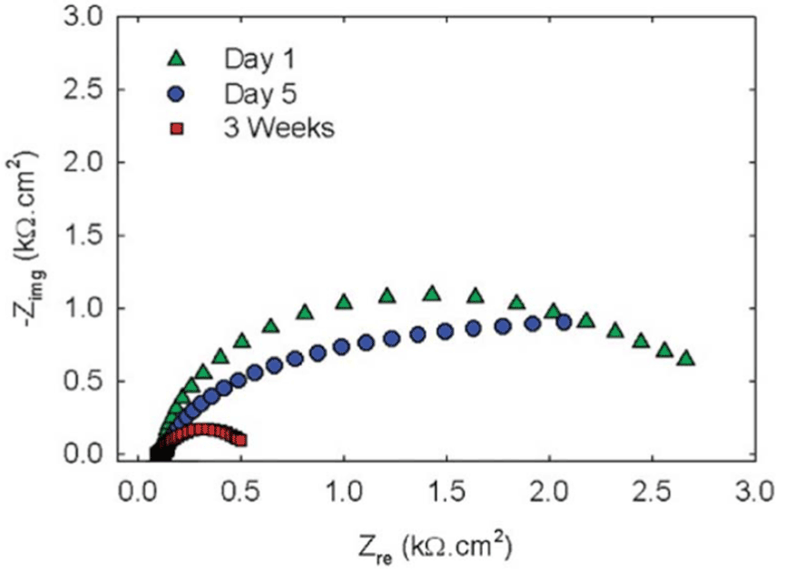 Microbial fuel cell phd thesis