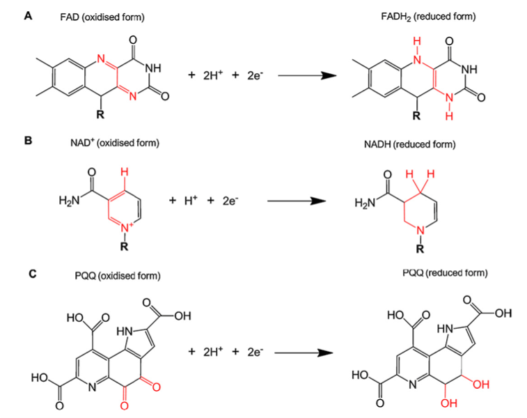 microbial electrosynthesis from electricity to biofuels and biochemicals microbial electrosynthesis from electricity to biofuels and biochemicals