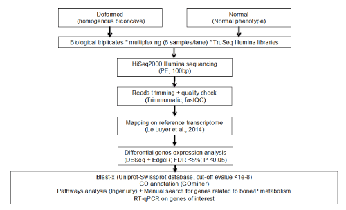 bioinformatic
