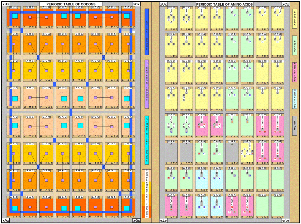 Periodic Chart Of Amino Acids