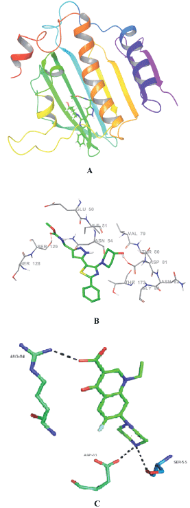 DNA