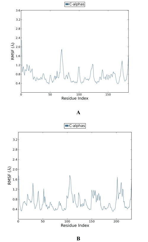 fluctuation
