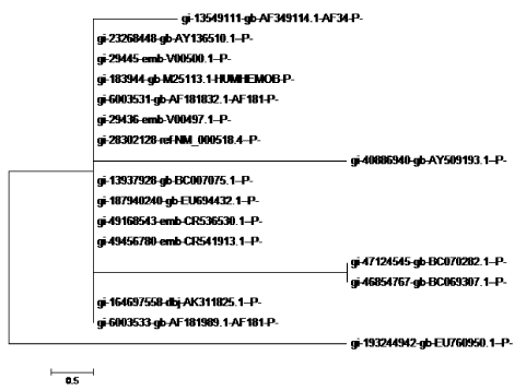 Parsimony