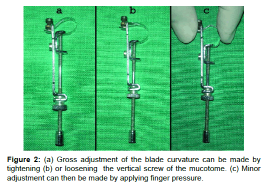 Medicine-Dental-Gross-adjustment
