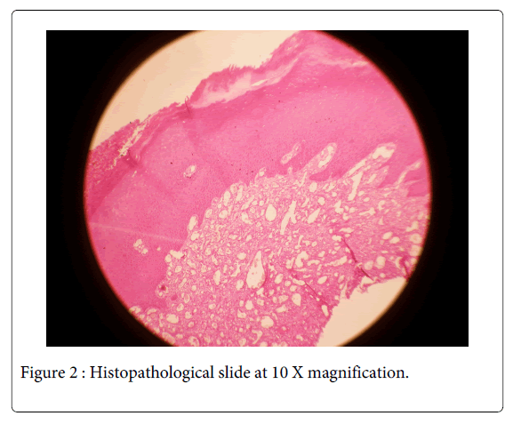 Medicine-Dental-Science-Histopathological-slide-10X-magnification