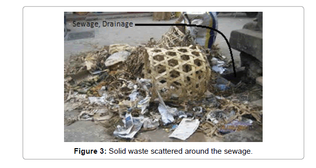 solid waste material article content 2011 solid waste matter articles or reviews 2011