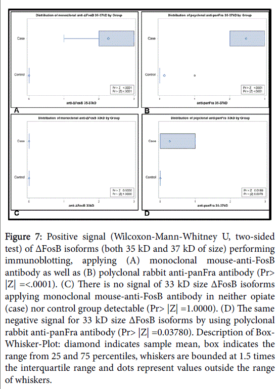addiction-research-polyclonal-rabbit