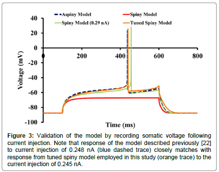 addiction-research-somatic-voltage