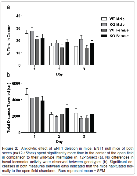 addiction-research-experimental-Anxiolytic-effect