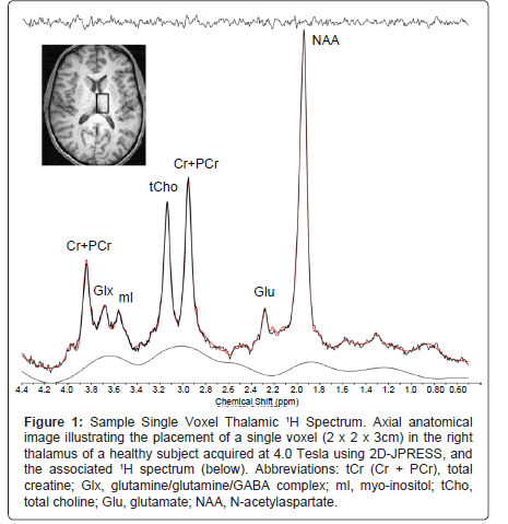 addiction-research-experimental-Axial-anatomical