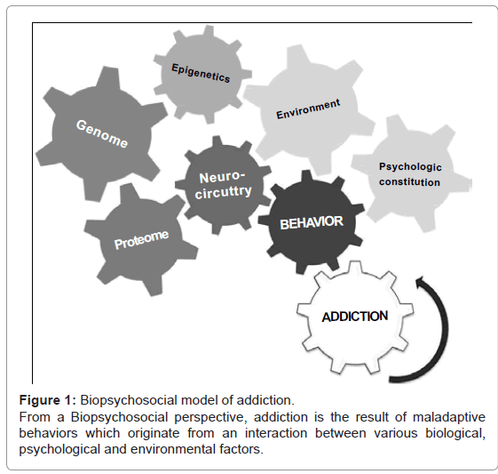 addiction-research-experimental-Biopsychosocial-model