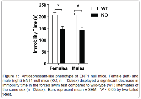 addiction-research-experimental-Female-left