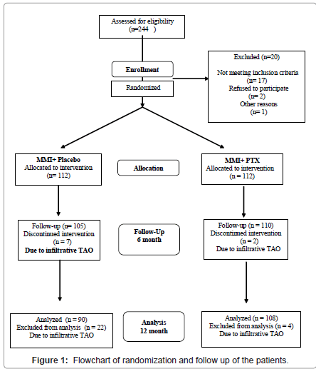 addiction-research-experimental-Flowchart-randomization