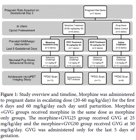 addiction-research-therapy-Study-overview
