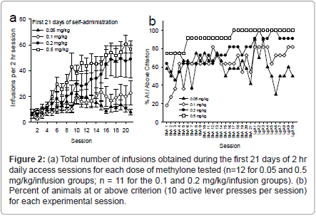 addiction-research-experimental-access-sessions