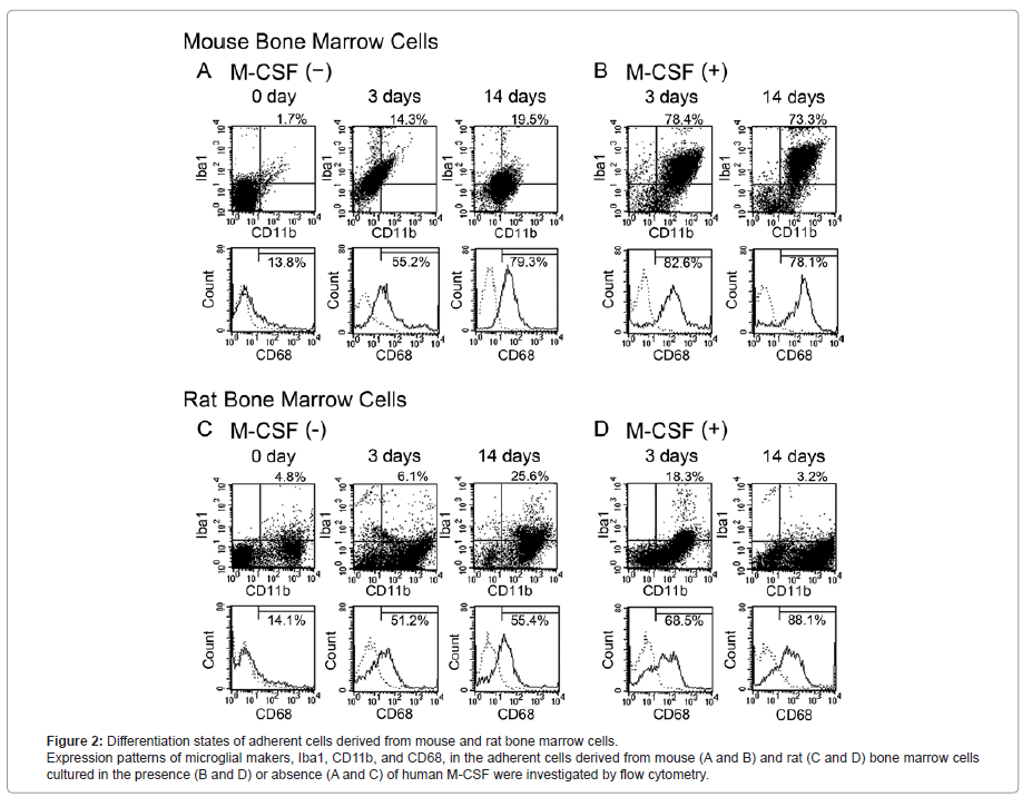 addiction-research-experimental-adherent-cells