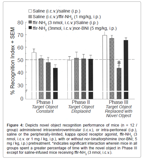 addiction-research-experimental-administered-intracerebroventricular