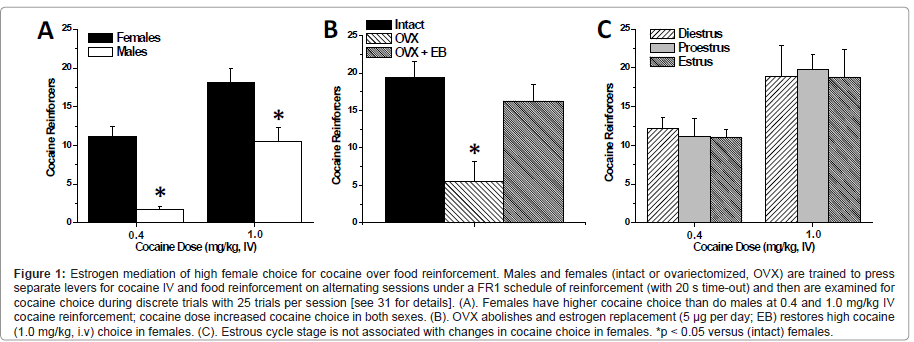 addiction-research-experimental-cocaine-choice