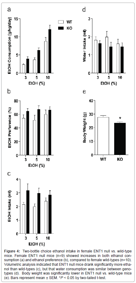 addiction-research-experimental-ethanol-consumption