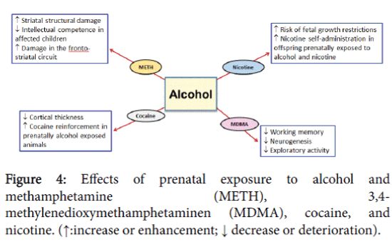 addiction-research-therapy-exposure-alcohol